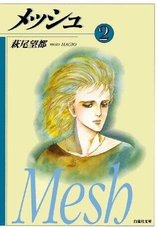 メッシュ 2