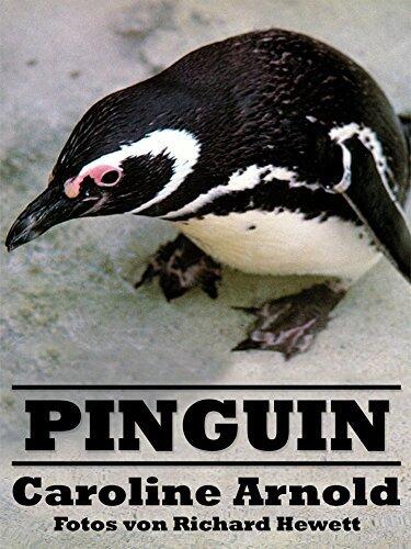 Pinguin
