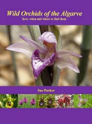 Wild Orchids of the Algarve - How, When and Where to Find Them