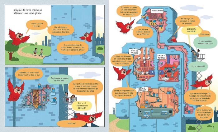 Le corps humain - Mon grand livre illustré