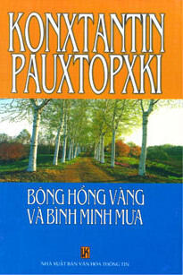 Bông hồng vàng và bình minh mưa