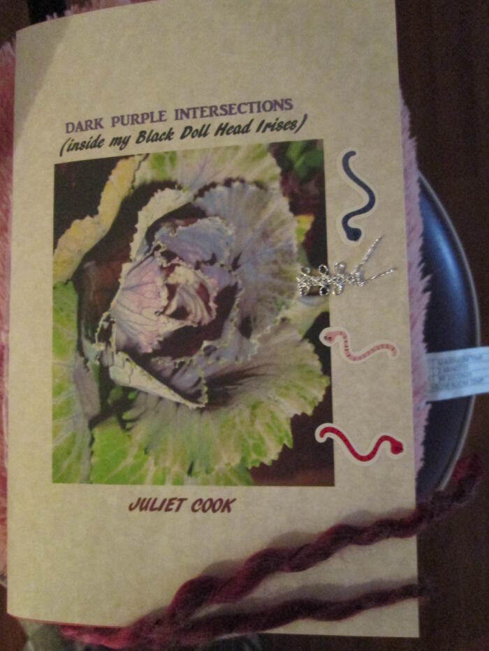 DARK PURPLE INTERSECTIONS
