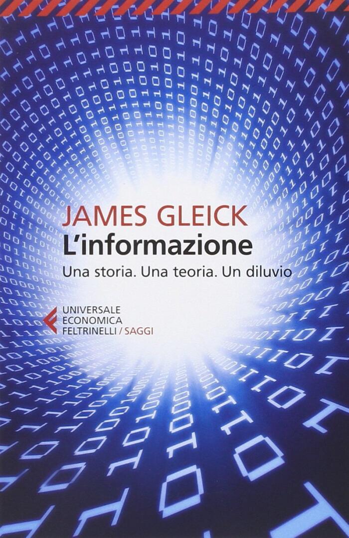 L'Information: Una Storia, Una Teoria, Un Diluvio