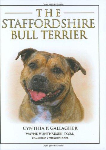 Staffordshire Bull Terrier