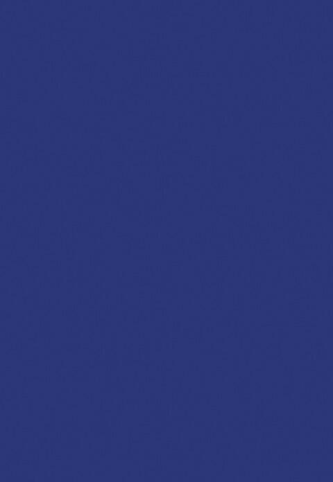 The Nebular Variables: International Series of Monographs in Natural Philosophy