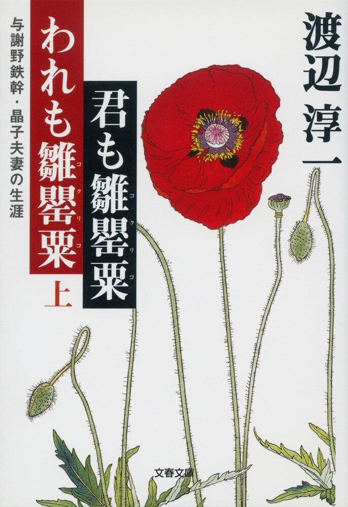 君も雛罌粟(コクリコ)われも雛罌粟(コクリコ) 上