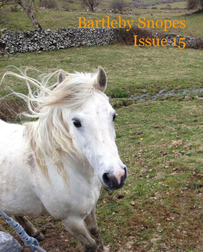 Bartleby Snopes Issue 15