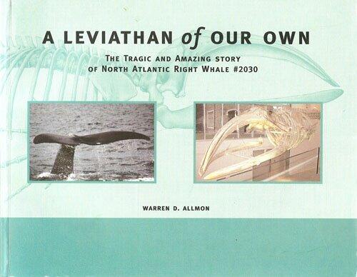 A Leviathan of Our Own: The Tragic and Amazing Story of North Atlantic Right Whale #2030