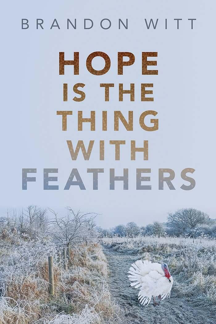 Hope Is the Thing with Feathers