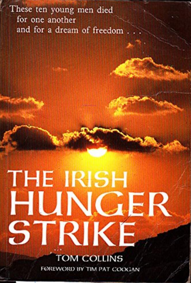 The Irish hunger strike