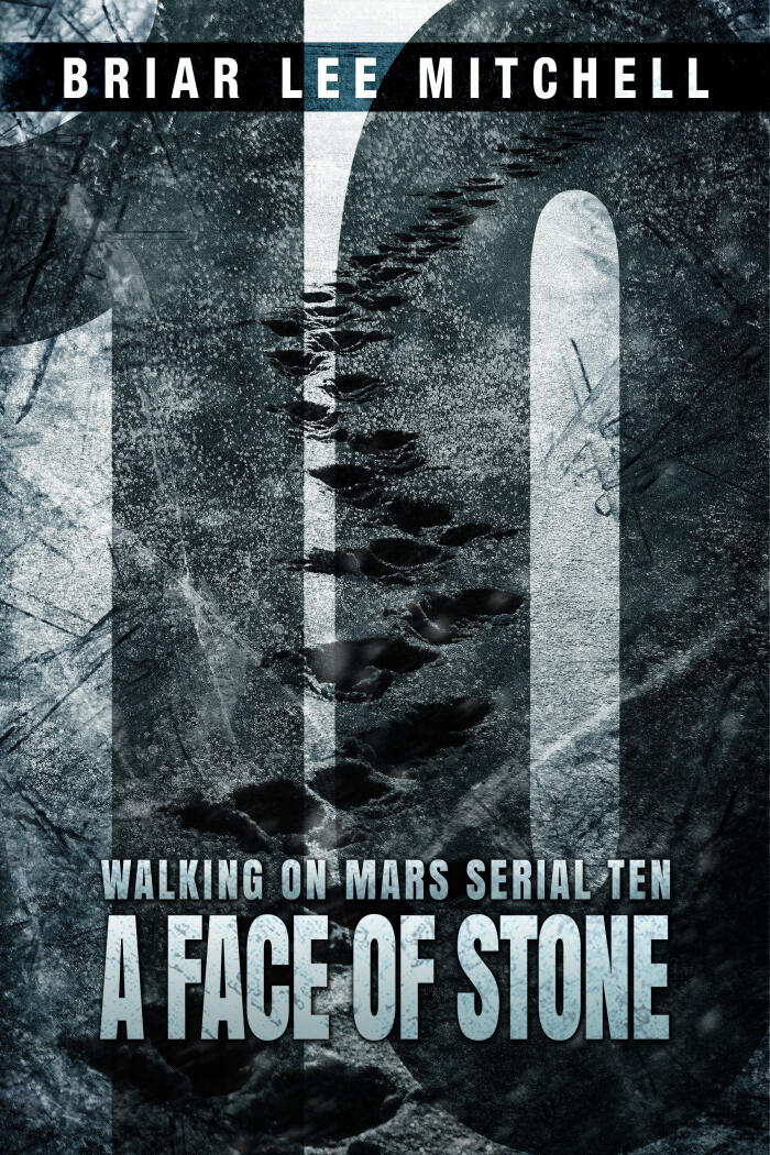 A Face of Stone: From the Journals of Samantha Bloodworth