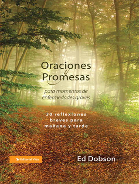 Oraciones y Promesas: 30 Reflexiones Breves para Mañana y Tarde