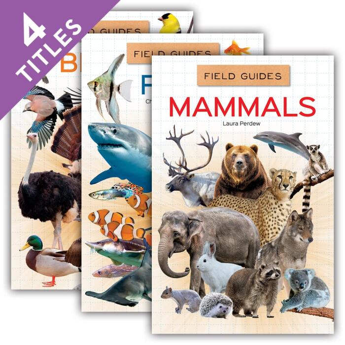 Field Guides for Kids