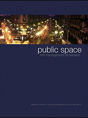 Public Space: The Management Dimension