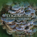 Cogumelos dos Parques de Sintra