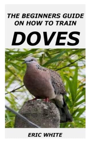 THE BEGINNERS GUIDE ON HOW TO TRAIN DOVES