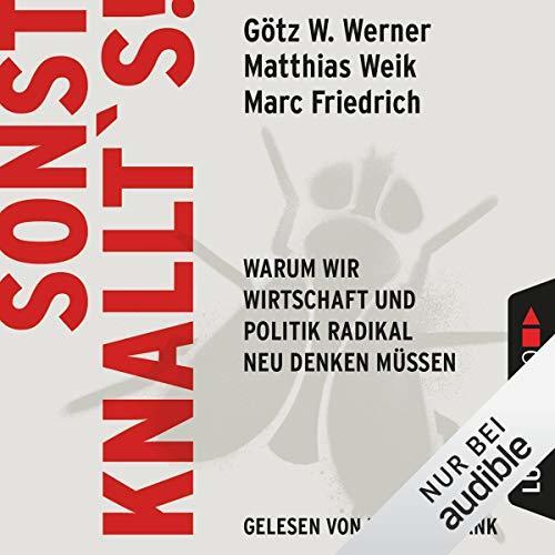 Sonst knallt's! Warum wir Wirtschaft und Politik radikal neu denken müssen