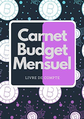 Carnet Budget Mensuel: Livre de compte: Carnet Budgétaire-Cahier de compte cahier de compte particulier 100 pages A4