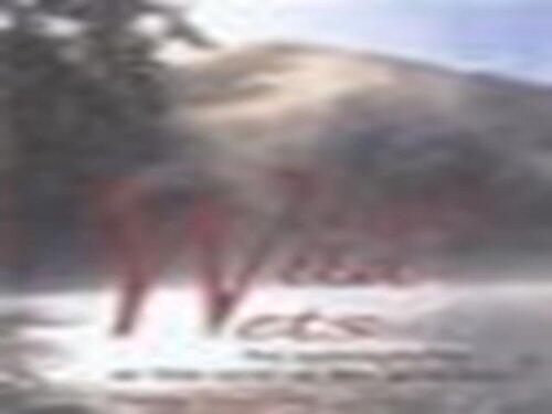 Wild Wild Wets: An Aquaphiliac at the End of His Paddle
