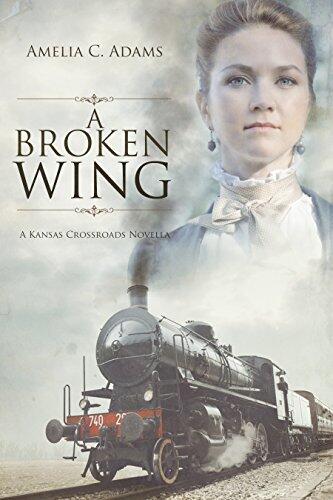 A Broken Wing
