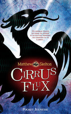 Cirrus Flux