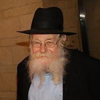Adin Even-Israel Steinsaltz