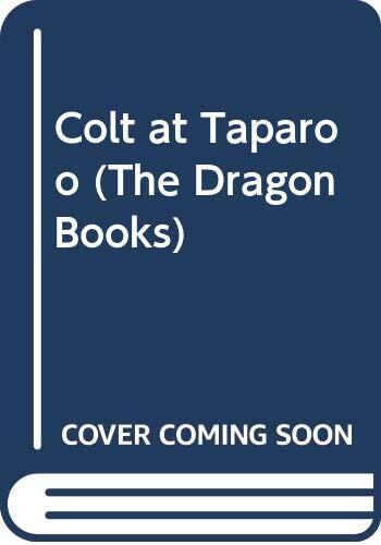 Colt at Taparoo