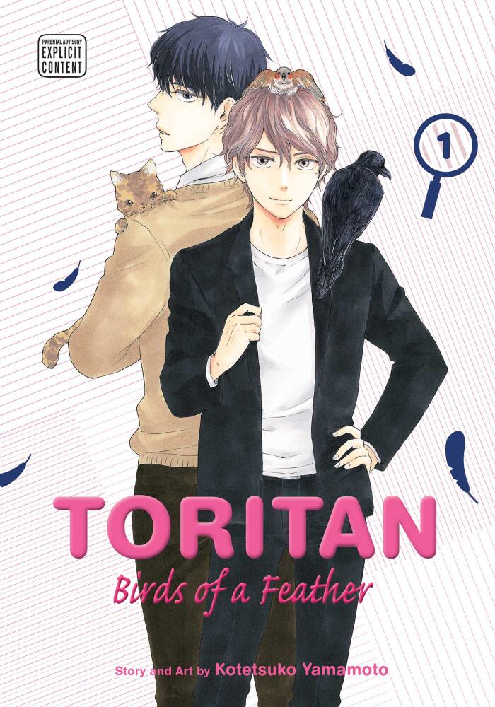 Toritan