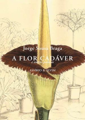 A Flor Cadáver e Outros Poemas