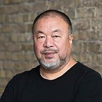 Weiwei Ai