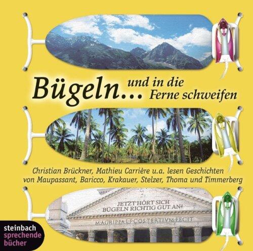 Bügeln... und in die Ferne schweifen