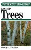 A Field Guide to Eastern Trees: Eastern United States and Canada