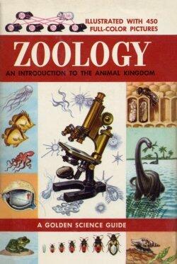 Zoology: An Introduction to the Animal Kingdom