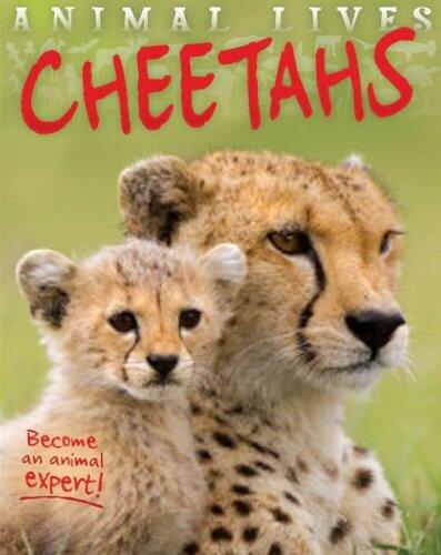 Animal Lives: Cheetahs