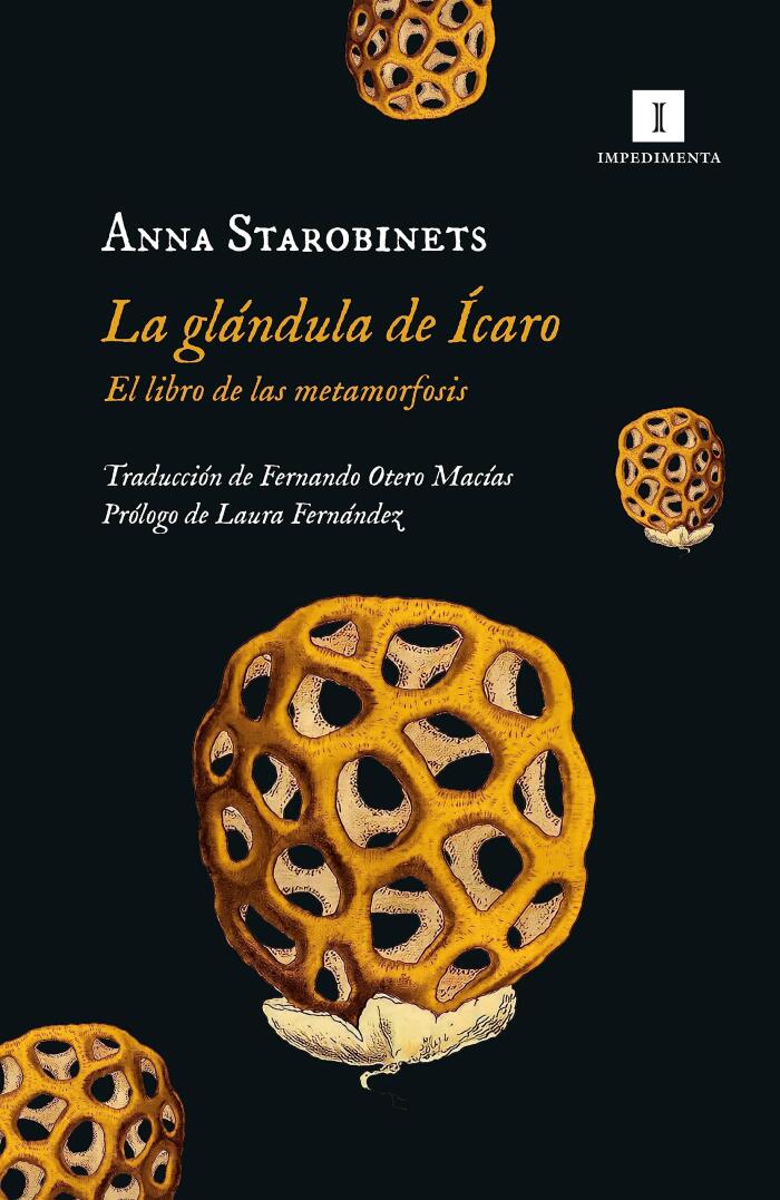 La Glándula de Ícaro: El Libro de las Metamorfosis