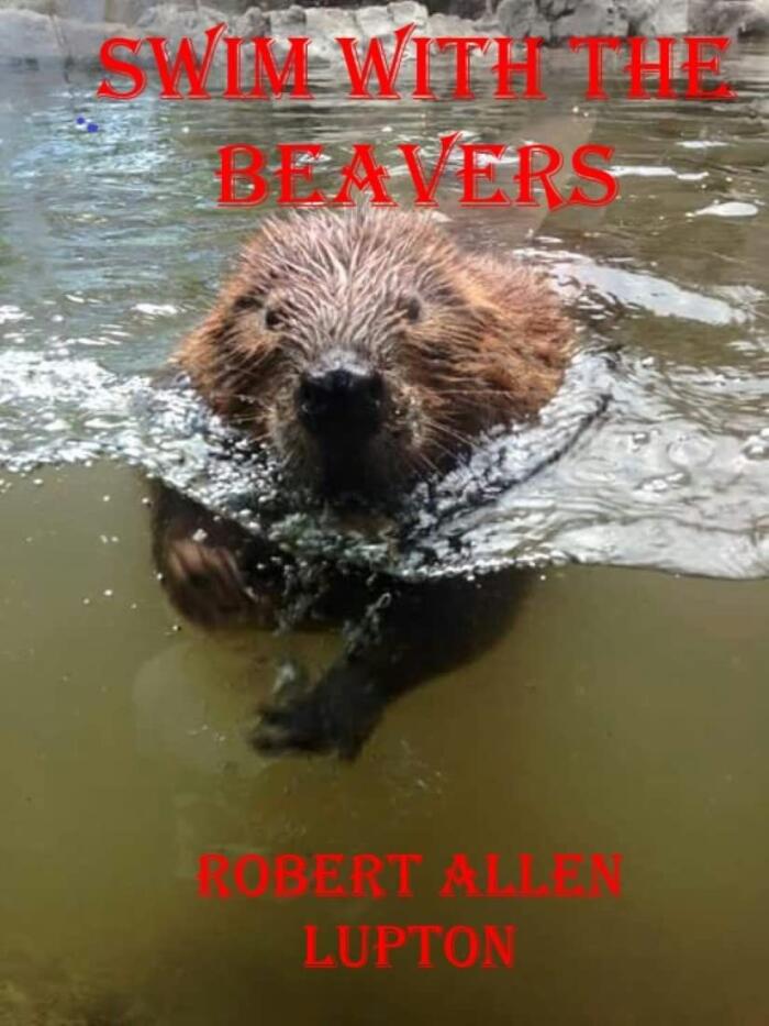 Swim With the Beavers