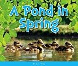 A Pond in Spring