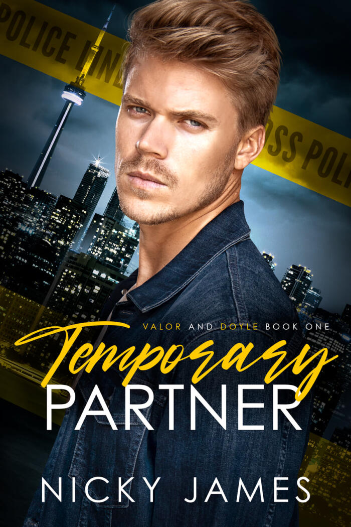 Valor and Doyle Mysteries