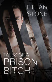 Tales of a Prison Bitch