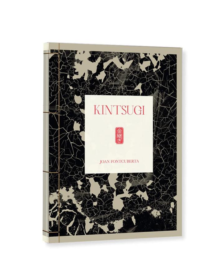 Joan Fontcuberta: Kintsugi