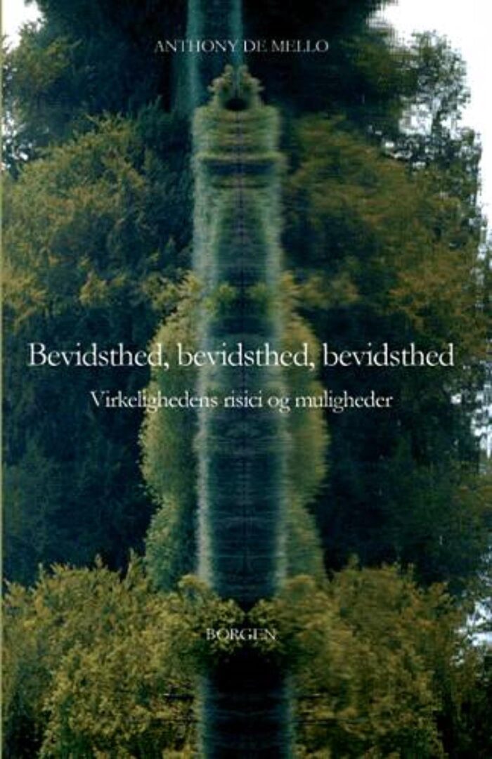 Bevidsthed, bevidsthed, bevidsthed: Virkelighedens risici og muligheder