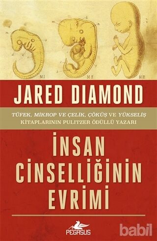 İnsan Cinselliğinin Evrimi