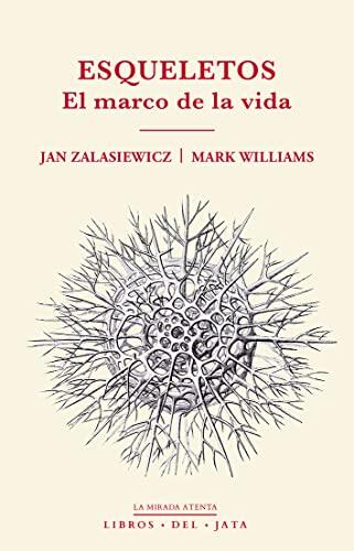 Esqueletos: El marco de la vida