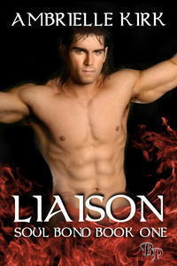 Liaison