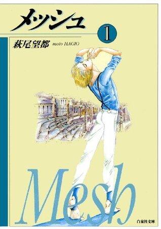 メッシュ 1