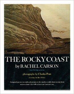 The Rocky Coast