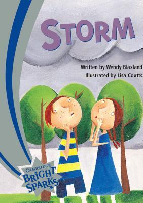 The Storm
