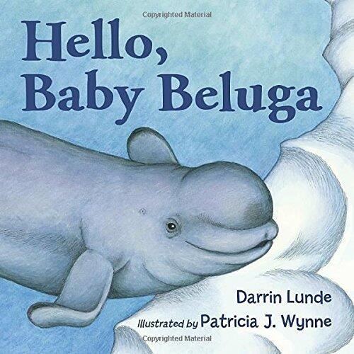 Hello, Baby Beluga