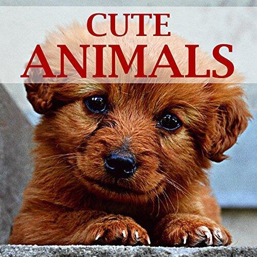 Children's Books: Cute Animals for Kids
