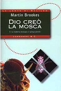 Dio creò la mosca